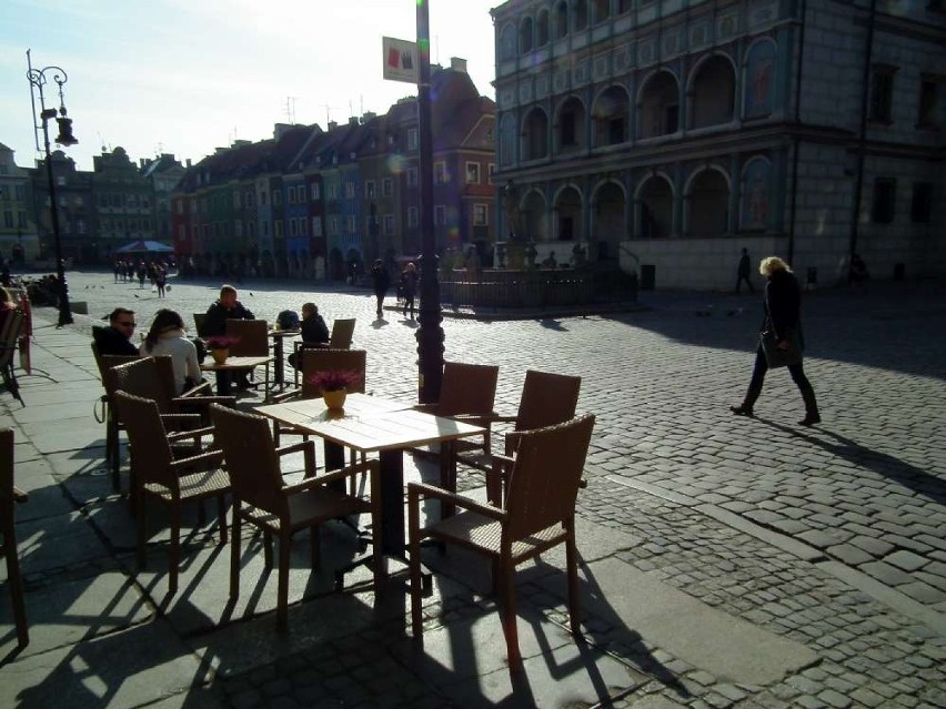 Stary Rynek w Poznaniu z ogródkami piwnymi, ale bez namiotów