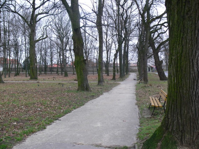 Park Miejski wSandomierzu nie należy do miejsc, gdzie mieszkańcy z przyjemnością spędzają swój wolny czas .