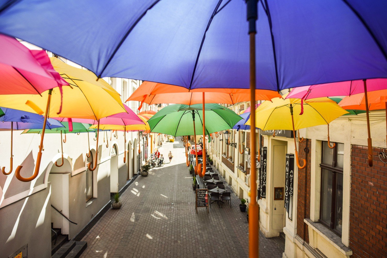 Leszno. Parasolki wróciły do centrum. Zobaczcie Bracką spod kolorowych  parasoli [ZDJĘCIA] | Leszno Nasze Miasto
