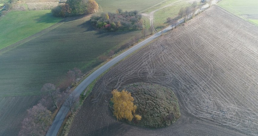 Unikatowe kurhany w Łękach Małych na wielkim ekranie. Zobacz zwiastun filmu "Berło z brązu - symbol zmiany cywilizacyjnej"