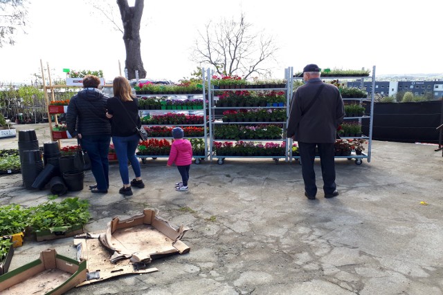 W "Ogrodzie", jednej z największych hurtowni ogrodniczych w Jaśle, sprawdziliśmy, ile trzeba zapłacić za najpopularniejsze kwiaty do ogrodów.
