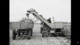 Kombinat Manieczki na filmie z 1968 roku. Poznajcie bliżej wzorowe Gospodarstwo Rolne czasów PRL