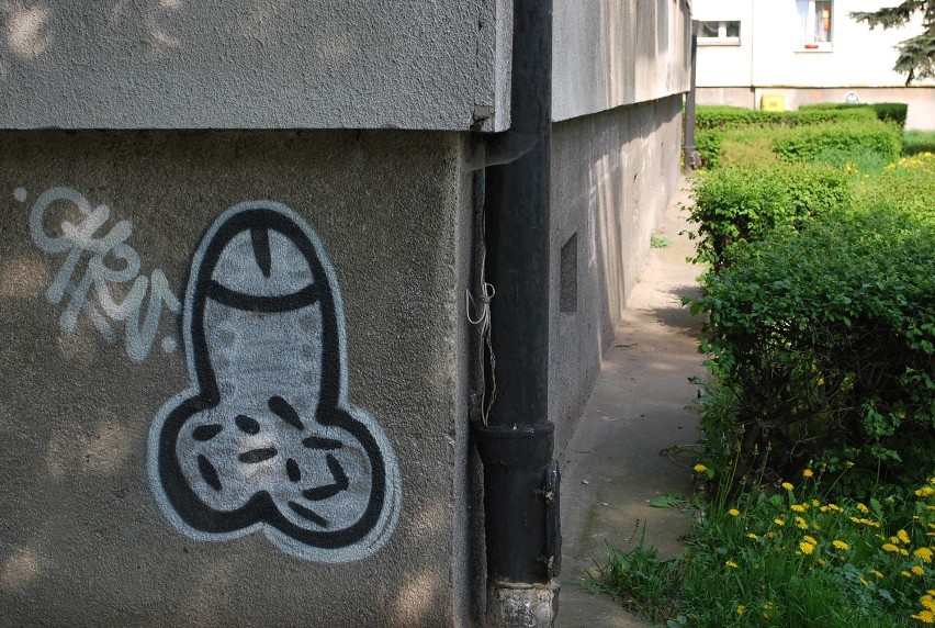Graffiti na przy ul. Niepodległości
