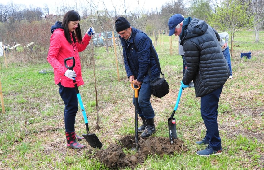 Akcja „Krosno wiosną”. Mieszkańcy odpowiedzieli na apel magistratu o to, by zadbać o miasto [ZDJĘCIA]