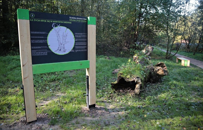 Weekendowy spacer ścieżką edukacyjną wzdłuż potoku Sudół Dominikański