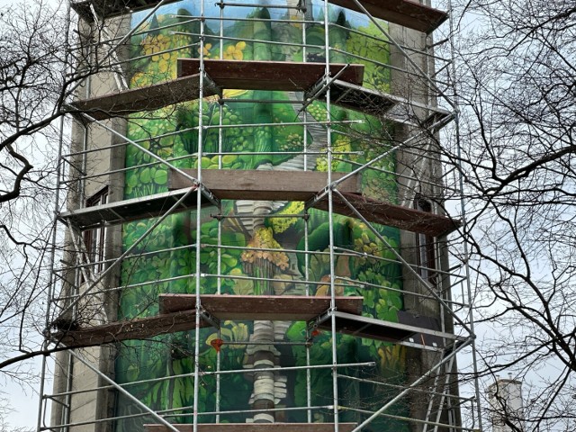 Prace nad ekomuralem na wieży ciśnień w Parku Miejskim – Ogrodzie Saskim w Sandomierzu dobiegają końca. Spod rusztowań przebija się już wizerunek  ekomuralu, który ożywił szarą wieżę ciśnień w centrum miejskiego parku.