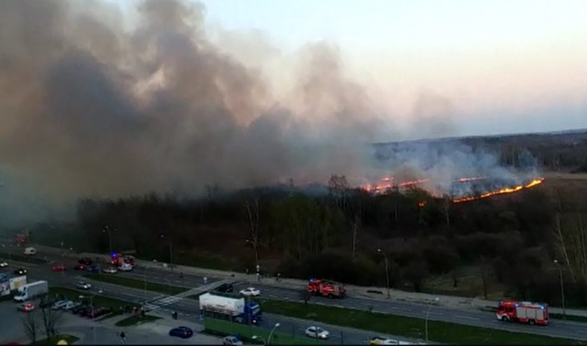 Tarnów. Policja na tropie podpalacza [WIDEO z POŻARU]