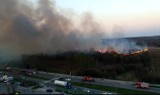 Tarnów. Policja na tropie podpalacza [WIDEO z POŻARU]