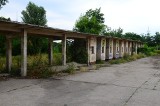 Stadion Lecha Poznań na Dębcu - Zobacz, jak go burzą [ZDJĘCIA]