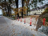 Leszno. Betonowe parkingi powstały  na Dworcowej w dawnej parkowej przestrzeni [ZDJĘCIA] 