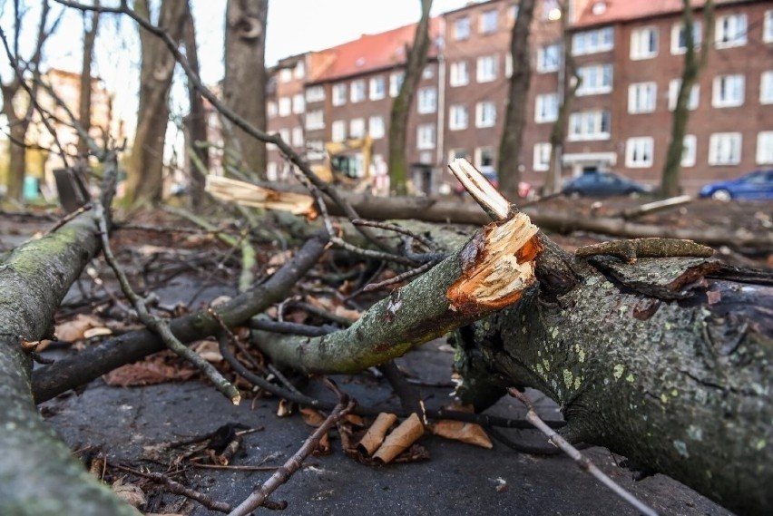 Strażacy w województwie pomorskim interweniowali ponad 1000...