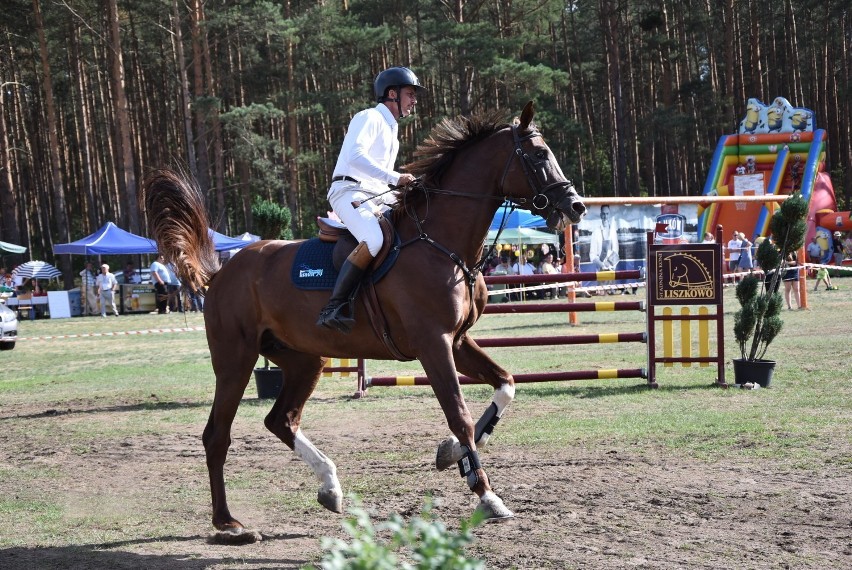 Gala Jeździecka w Dziembówku 2019: Grand Prix Kaczor w pięknym stylu wygrała Agata Dahlke (FOTO)  