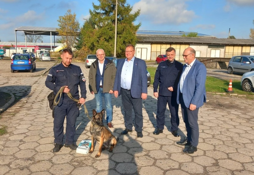 Fela - nowy pies w Komendzie Policji w Wągrowcu. Będzie pomagała w wykrywaniu narkotyków 