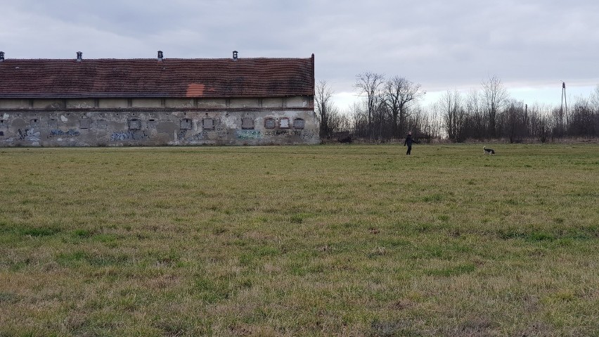 Strzelce Opolskie. W mieście powstanie kolejny market. Lidl kupił działkę przy ul. Mickiewicza i Kazimierza Wielkiego