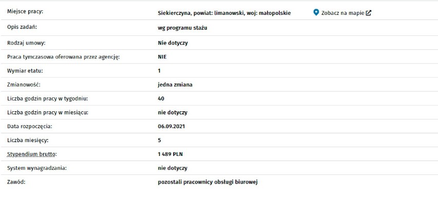 Limanowa/Powiat Limanowski. Aktualne oferty pracy w Powiatowym Urzędzie Pracy. Kto znajdzie zatrudnienie? [ZDJĘCIA]