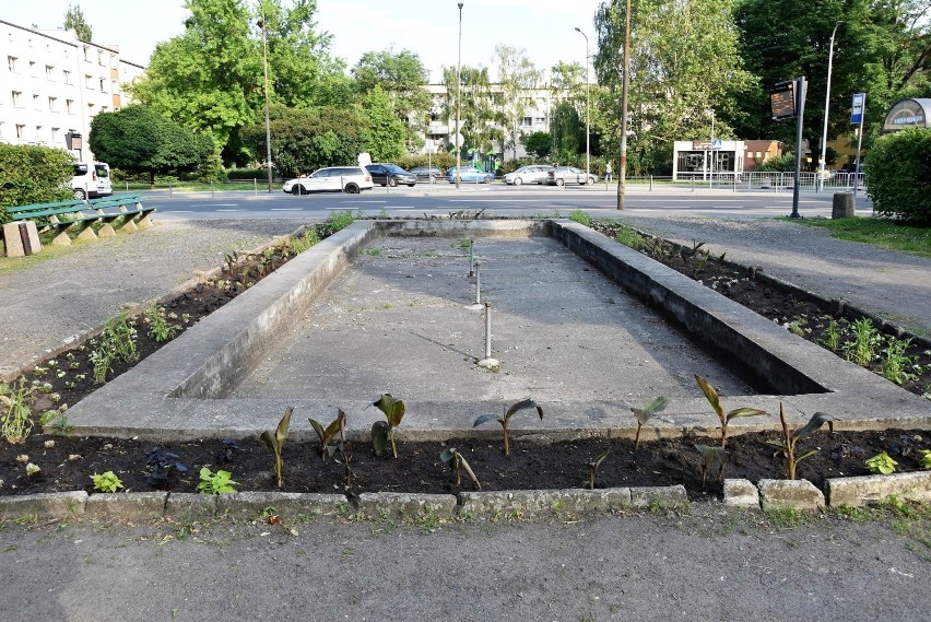 Fontanna i plac Kazimierza - stan obecny