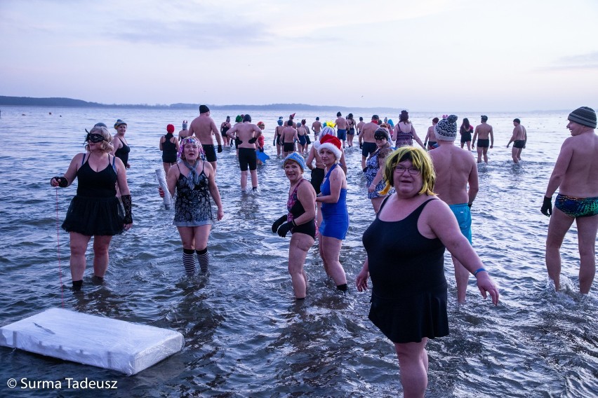 1 stycznia była kąpiel morsów w Miedwiu