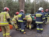 Powiat górowski. Sprawcy ostatnich wypadków drogowych to młodzi, niedoświadczeni kierowcy. Policjanci apelują o rozwagę [ZDJĘCIA]