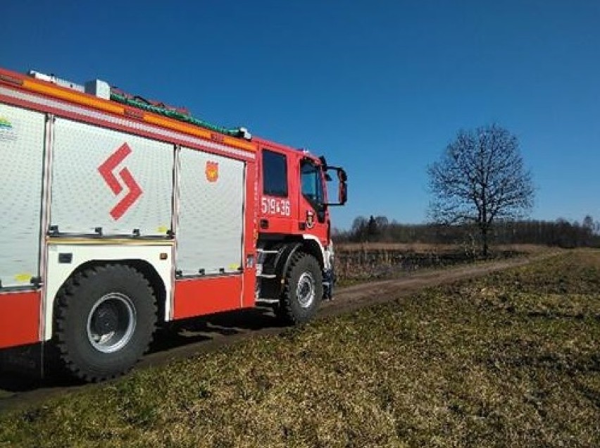 Pożar nieużytków w Borui Nowej