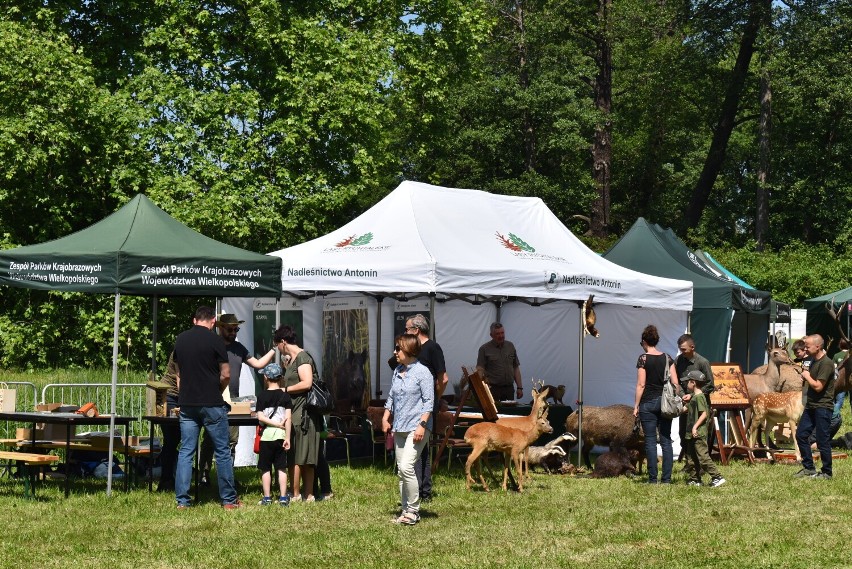 Festiwal Lasu w Gołuchowie