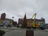 Na Placu Pokoju w Lęborku stanęła świąteczna choinka