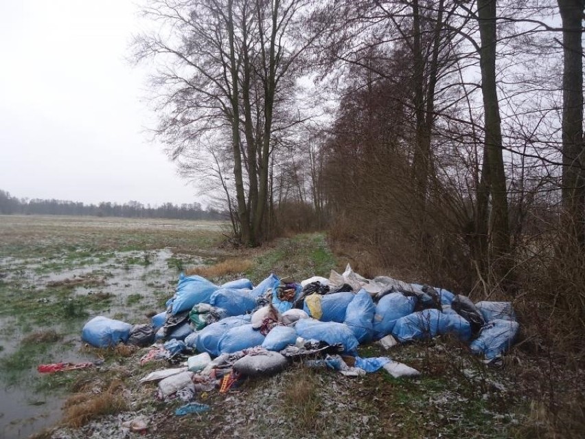 Wandale to już szczyt! Mnóstwo worków ze śmieciami porzucono w Albertowsku! [ZDJĘCIA]