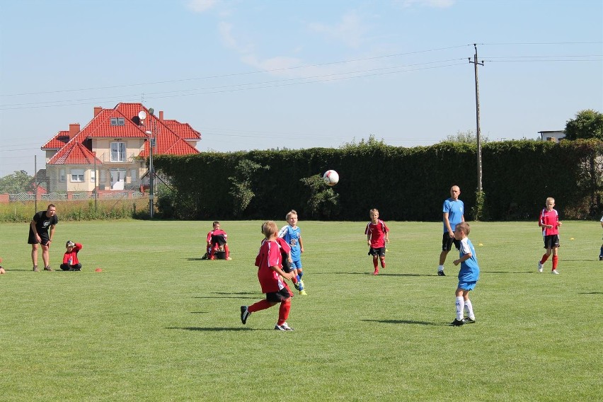 Sparing orlików Sokoła Pniewy