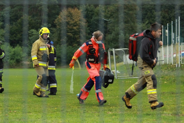 Pies pogryzł roczne dziecko w Sulejowie. Chłopca zaatakował amstaf, 2.10.2021