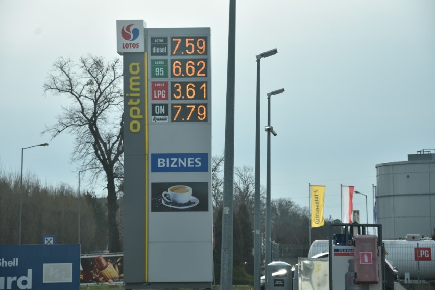 Wągrowiec. Ile kosztuje paliwo na stacjach w Wągrowcu? [1.04.2022r.]