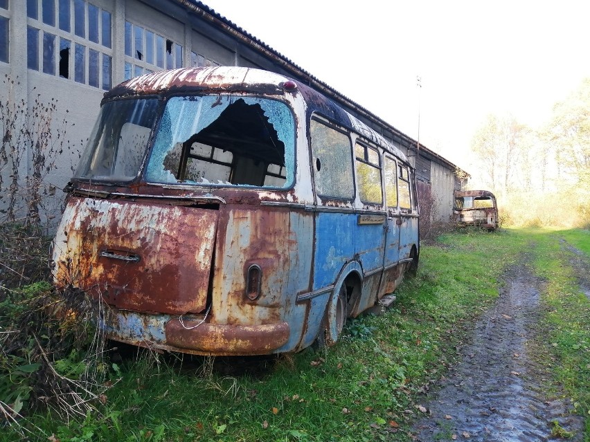 Ciemna strona Doliny Karpia. Rudera budynku gospodarstwa rybackiego i wrak autobusu na szlaku do pięknych stawów w Zatorze [ZDJĘCIA]