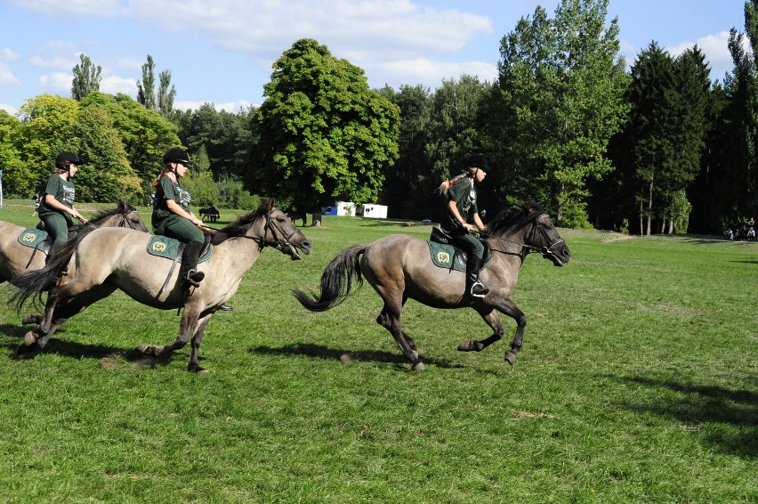 Sieraków - Tarpaniada 2013