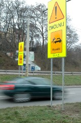 43 osoby zginęły od początku roku w wypadkach