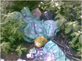 Gdańsk: Kolejne nielegalne wysypisko śmieci w Śródmieściu
