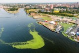 Debata na temat rewitalizacji terenów postoczniowych. Architekt miasta nie mówi „nie” wysokościowcom. Konserwator wciąż stanowczo przeciw