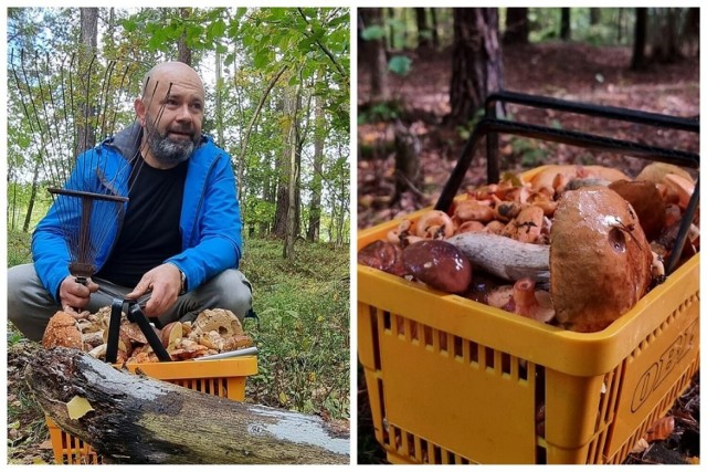 Radny Piotr Musiał zbiera grzyby i dzieli się nimi z innymi