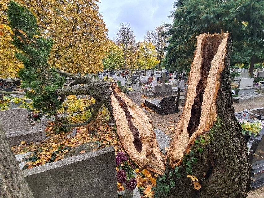 Na zdjęciu - Skutki wichury na cmentarzu przy ul....