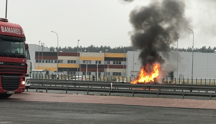 Do groźnie wyglądającego zdarzenia doszło dziś po południu w...