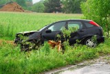 Wypadek w Kamieniu: Fordem uderzył w drzewo [ZDJĘCIA]