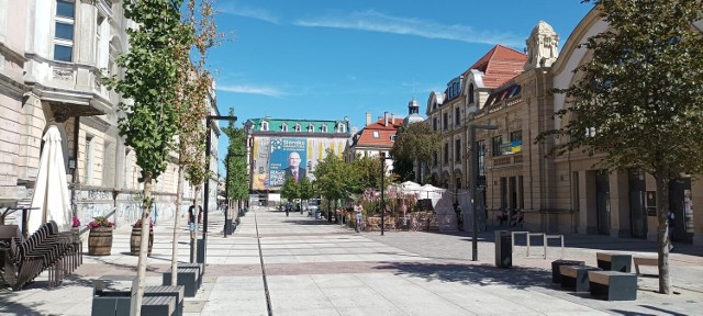 Drzewa na ul. Dworcowej zaatakował patogenny grzyb. W tym sezonie liście pozostaną już brązowe.