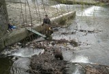 Bielsko-Biała: wędkarze posprzątają brzegi rzeki Białej