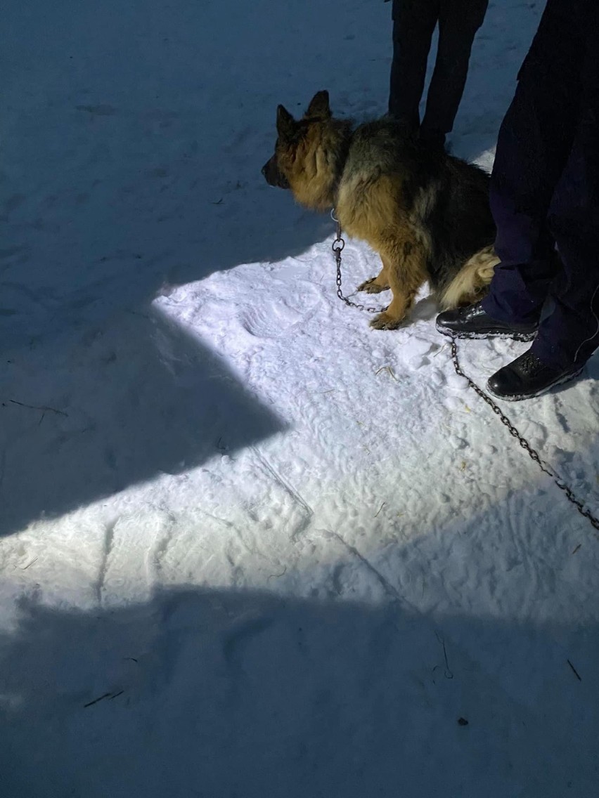 Tarnowski oddział Towarzystwa Opieki nad Zwierzętami w...