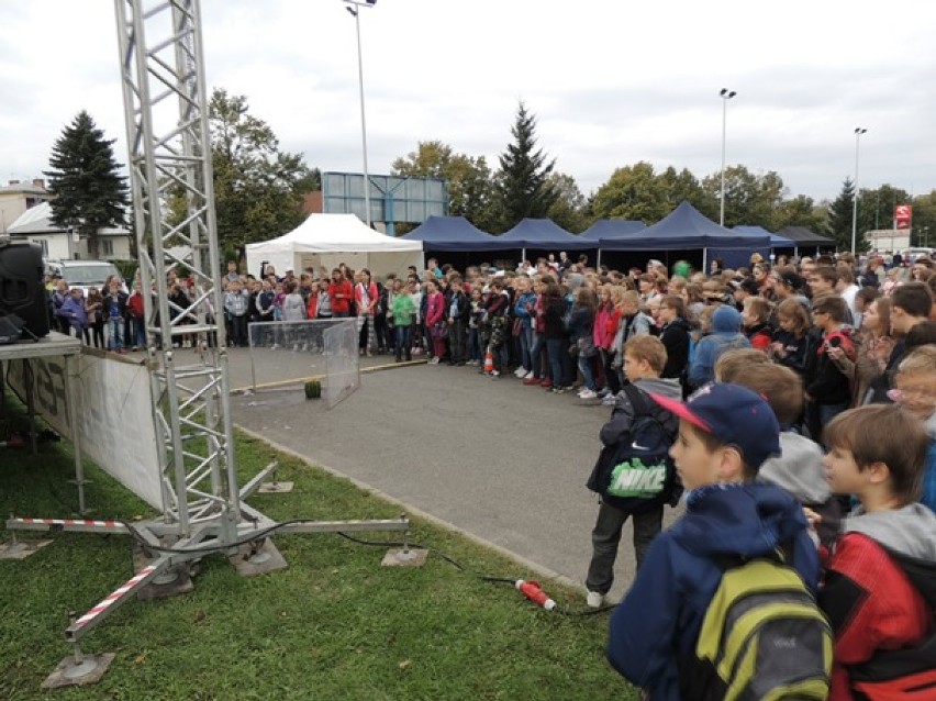 Festiwal Nauki Eduscience w Krośnie