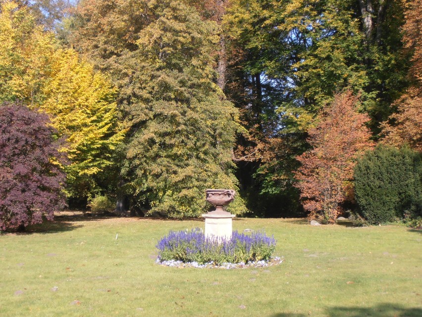 Park i zamek Branitz w Cottbus - jesienną porą [ZDJĘCIA]