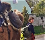 Niecodzienni wędrowcy, czyli  Edmée i jej wielbłąd Attika, widziani na drodze w Zamysłowie [ZDJĘCIA]