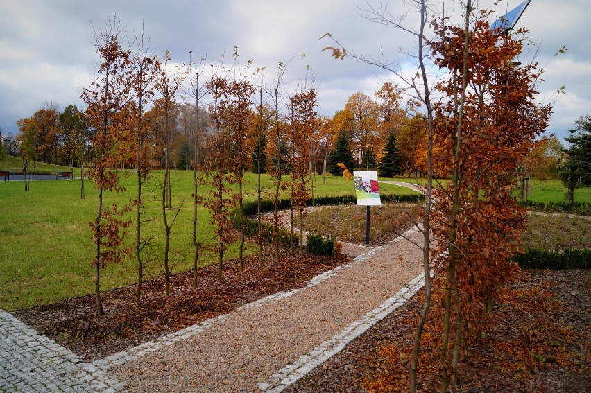 Park sensoryczny w Bijasowicach