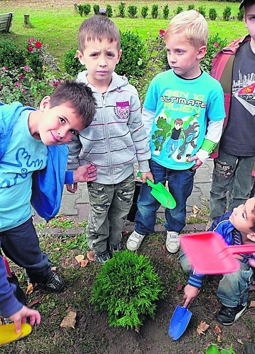 Dzieci tex mają swoje drzewa. Pięknie razem wyrosną..