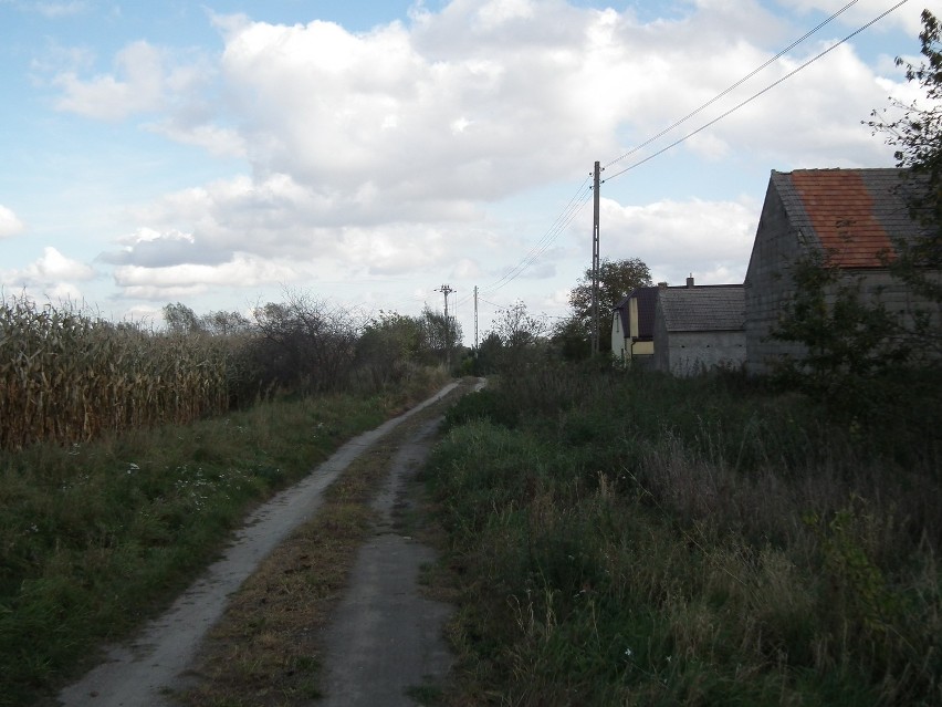 Po prawej stronie gruntowej drogi zabudowania wsi Sarbia, po...