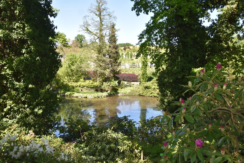 Arboretum Wojsławice