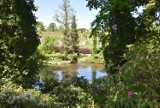 Arboretum w Wojsławicach, cudowne miejsce niecałą godzinę jazdy od Wałbrzycha. Zobaczcie jak tam teraz pięknie! Zdjęcia