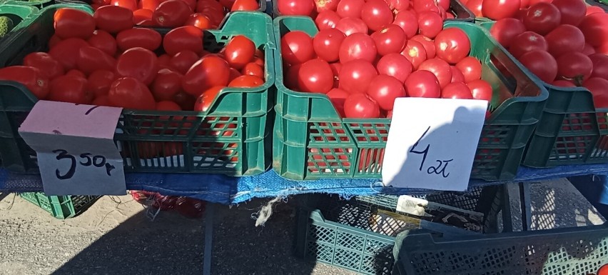 Różne pomidory. Lima za 3,50 złotych i malinowe za 4 złote.